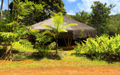 Instituto Yary: Semeando Regeneração com a Força dos Saberes Ancestrais